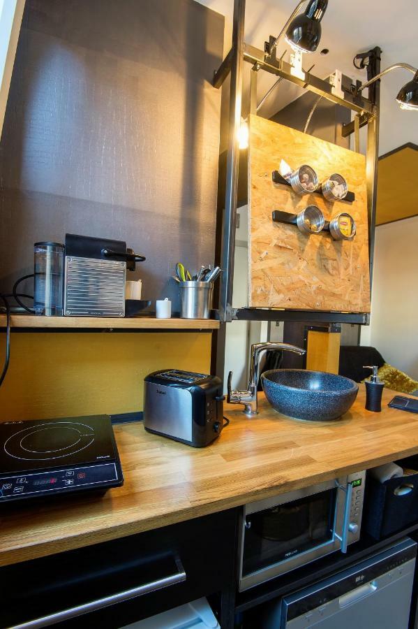 Ministeel Loft Brotteaux Part-dieu Appartement